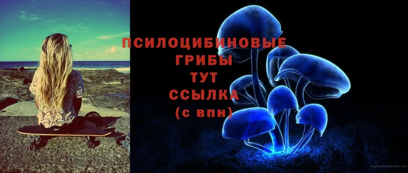 Галлюциногенные грибы MAGIC MUSHROOMS  где купить   Северская 